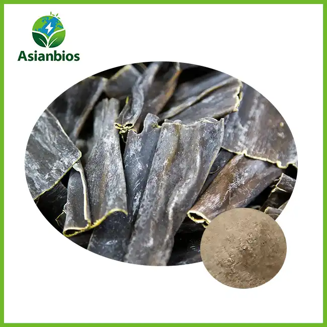 Kelp Powder Bulk Kelp Powder Bulk